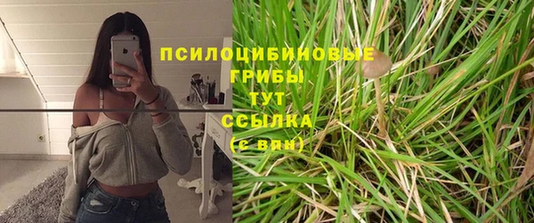 ALPHA PVP Покров